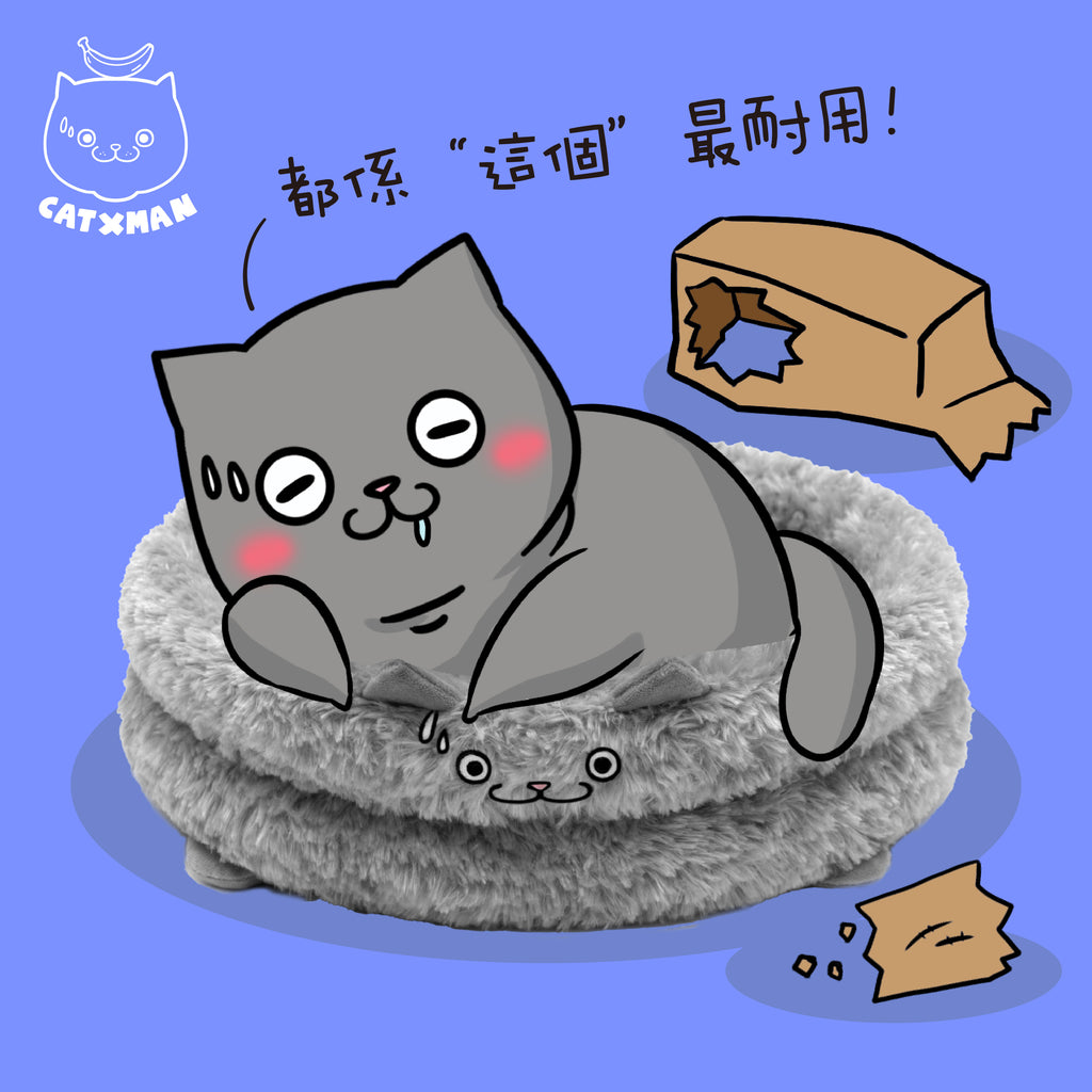 CATXMAN PET BED